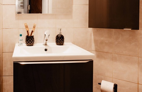 Valenciennes Apartment | Apt 101 - Studio-Ensuite with Shower