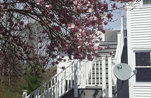 Trumansburg Apartment | Apt. retreat near lake and 215' waterfall, peaceful, lovely gardens.