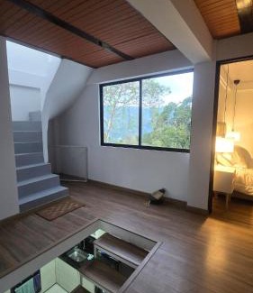 Sutatenza House | Araucarias