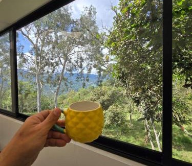 Sutatenza House | Araucarias