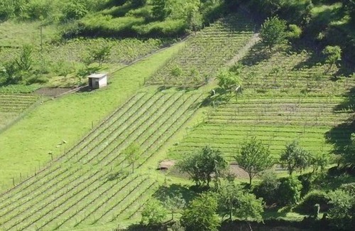 Limes Cottage | Ardaliz Rural Apartments for 2 people