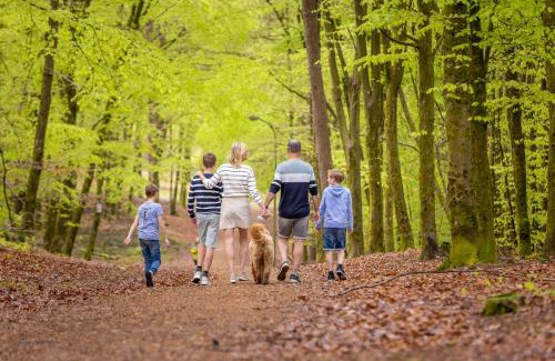 Bertrix Other | Ardennen Camping Bertrix