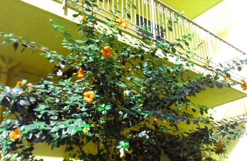 Bagheria Bed & Breakfast | Arena