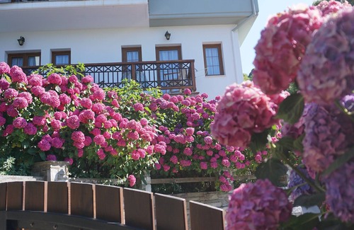 Tsagarada House | Artemisia Guesthouse