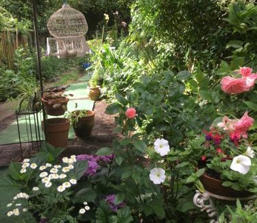 Oxford Bed & Breakfast | Arts&BichonsB&B