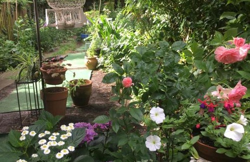 Oxford Bed & Breakfast | Arts&BichonsB&B