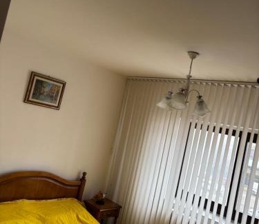 Pascani Apartment | Asalt Pascani