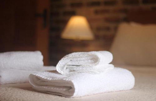 Ilha Grande House | ATLANTIC FOREST HOUSE AT FOREST