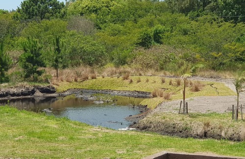 Xangri-La Apartment | Atlantida Park Residence - Great apartment overlooking the park