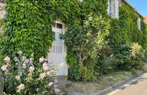 Jumeauville House | Atypical village house near Versailles and the African game park of Thoiry