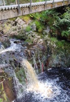 Walk Apartment | Au coin de la cascade