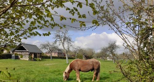 Saint-Sylvestre-de-Cormeilles House | Au p'tit jardin
