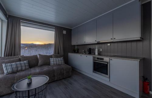 Lenvik Resort | Aurora Borealis Observatory