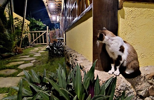 Cabore House | Aurora Residence Paraty