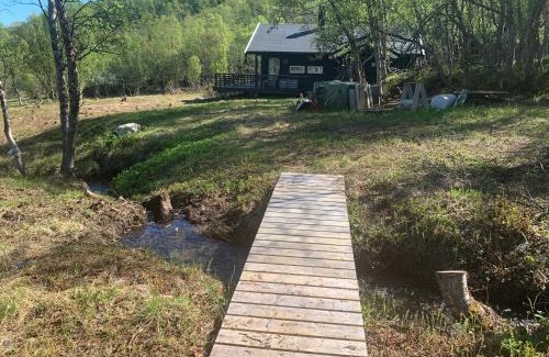 Skjervoy House | Aurora woods