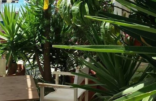 Follonica Hotel | Ausonia