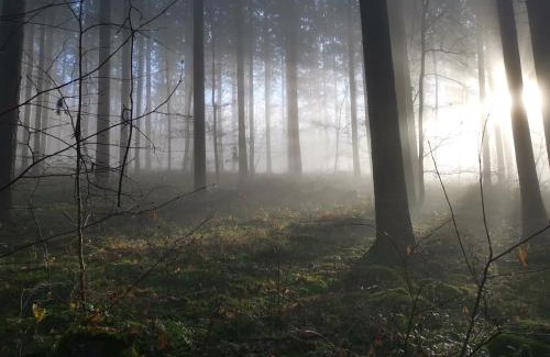 Muncheberg House | Auszeit in Märkische Schweiz