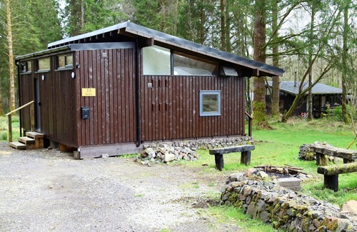 Taynuilt Cabin | Authentic log cabin in a lovely forest location close to stunning Loch Awe
