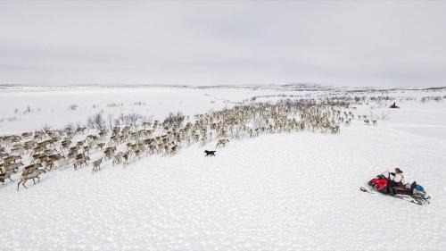 Kautokeino Cabin | Authentic Sami Reindeer Herding Adventure in Arctic Norway