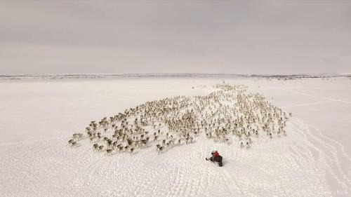 Kautokeino Cabin | Authentic Sami Reindeer Herding Adventure in Arctic Norway