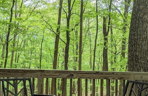 Berkeley Springs House | Autumn Wings -wifi, screen porch, pool access, hiking, family friendly