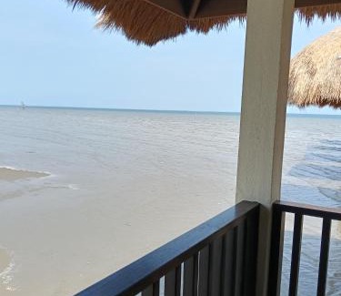 Kampung Bagan Lalang Hotel | Avani Golden Tree Luxury Resort