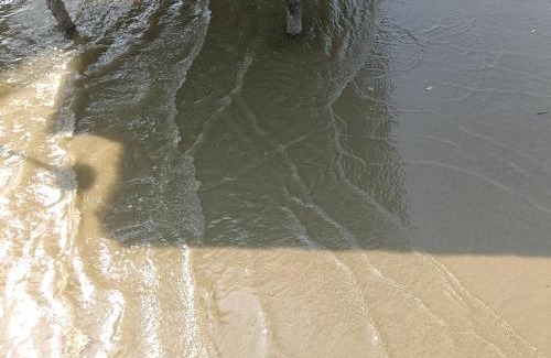 Kampung Bagan Lalang Hotel | Avani Golden Tree Luxury Resort