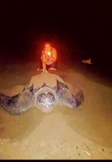 Barra de Pacuare Hotel | Avistamiento Fauna Flora Caribe