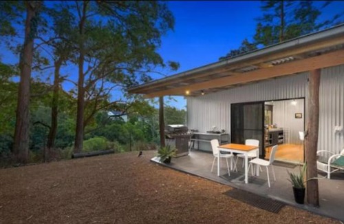 Avoca Beach Apartment | Avoca Beach and Bush