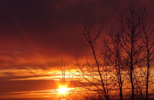 Old Seward - Oceanview Bed & Breakfast | Away from the Hustle & Bustle, But Close Enough
