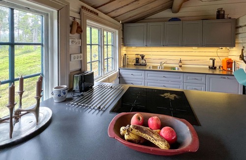 Nord-Aurdal House | Awesome home in Aurdal with sauna