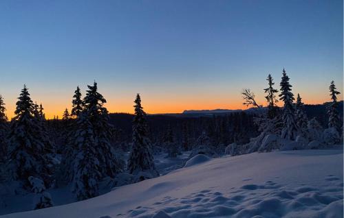 Nord-Aurdal House | Awesome Home In Aurdal With Sauna