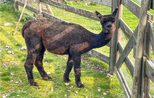 Grue House | Awesome Home In Grue Finnskog