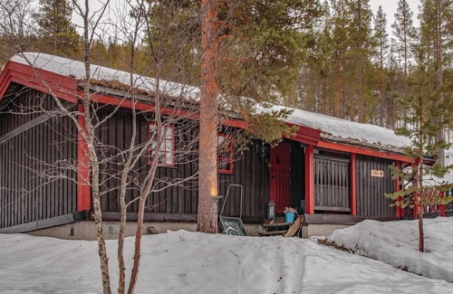 Akrestrømmen House | Awesome home in Rendalen with kitchen
