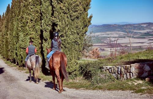 Campiglia d'Orcia House | Az.Agr. Il Cavalleggero