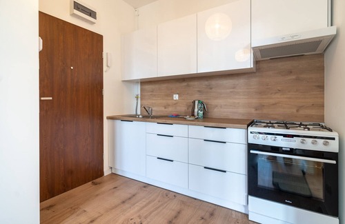 Bedzin Apartment | Będzin Standard Apartment