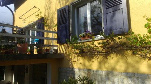 Rheinfelden Bed & Breakfast | B&B am Park