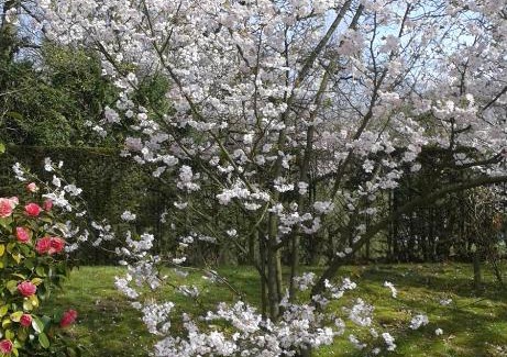 Kortessem Bed & Breakfast | B&B Appelkers II