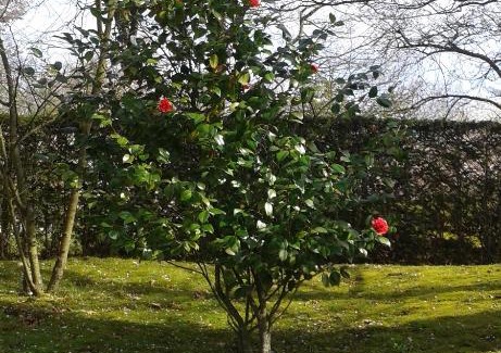 Kortessem Bed & Breakfast | B&B Appelkers II