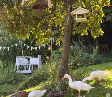 Osterfingen Bed & Breakfast | B&B Bad Tiefenau, HAUS AN DER QUELLE