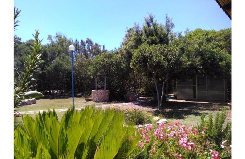 San Vero Milis Bed & Breakfast | B&B Blue Corner "Lavender"