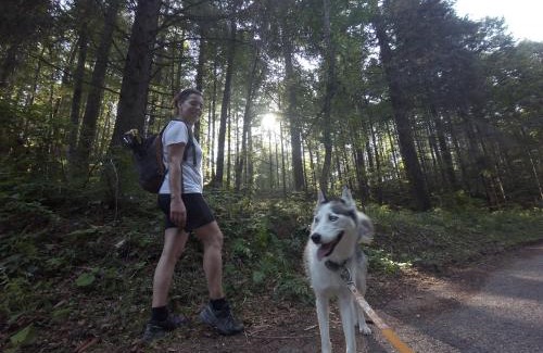 Sossano Bed & Breakfast | B&B CASA mia - camere in appartamento privato -