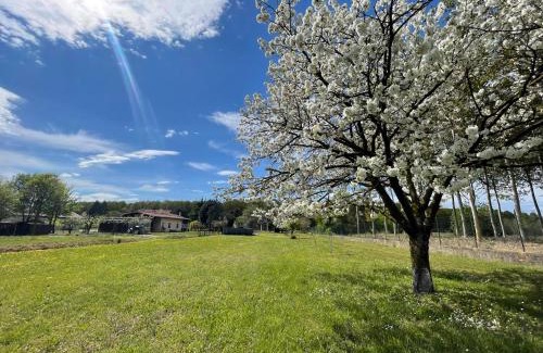 Rivarotta Bed & Breakfast | B&B Da Leone