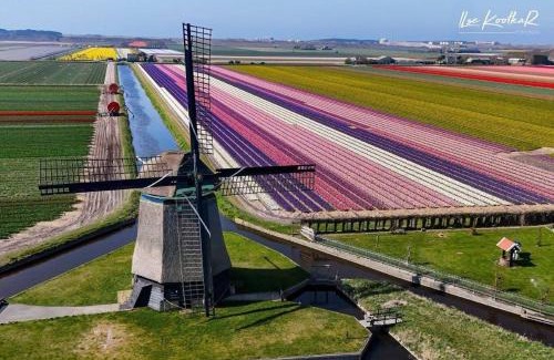 Den Helder Apartment | B&B Duinbrink