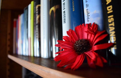 Ponte di Piave Bed & Breakfast | B&B Elizabeth