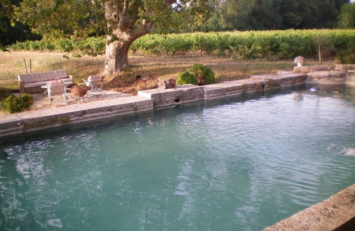 Brignoles Bed & Breakfast | B&b Guest House "Domaine le Clos du Pavillon" Provence