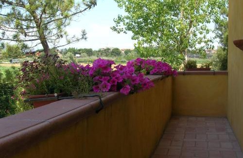 Montopoli in Val d'Arno Bed & Breakfast | B&B Il Moscondoro