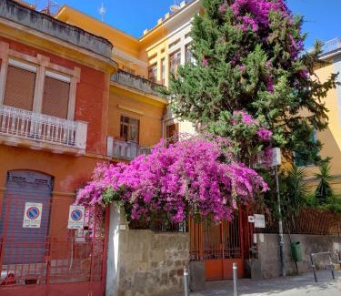 Castellammare di Stabia Bed & Breakfast | B&B Il Vialetto