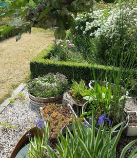 Bottelare Bed & Breakfast | B&B La Clé du Sud