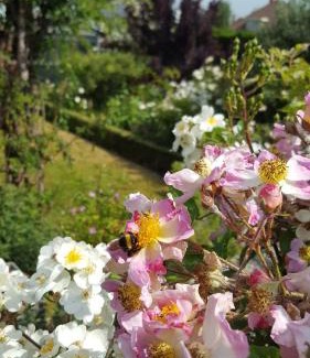 Bottelare Bed & Breakfast | B&B La Clé du Sud